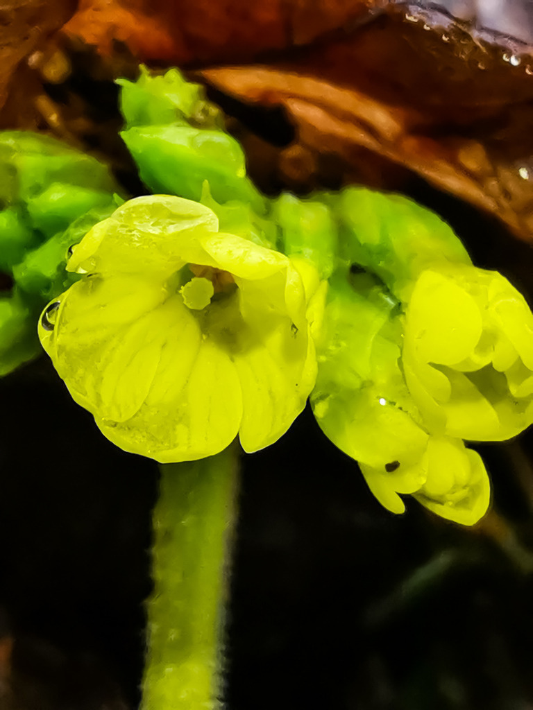 PSX_20230312_232615 | mtkfoto_ - Realisiert mit Pictrs.com