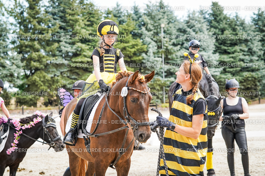 DSC03200 | Pferdegrafie