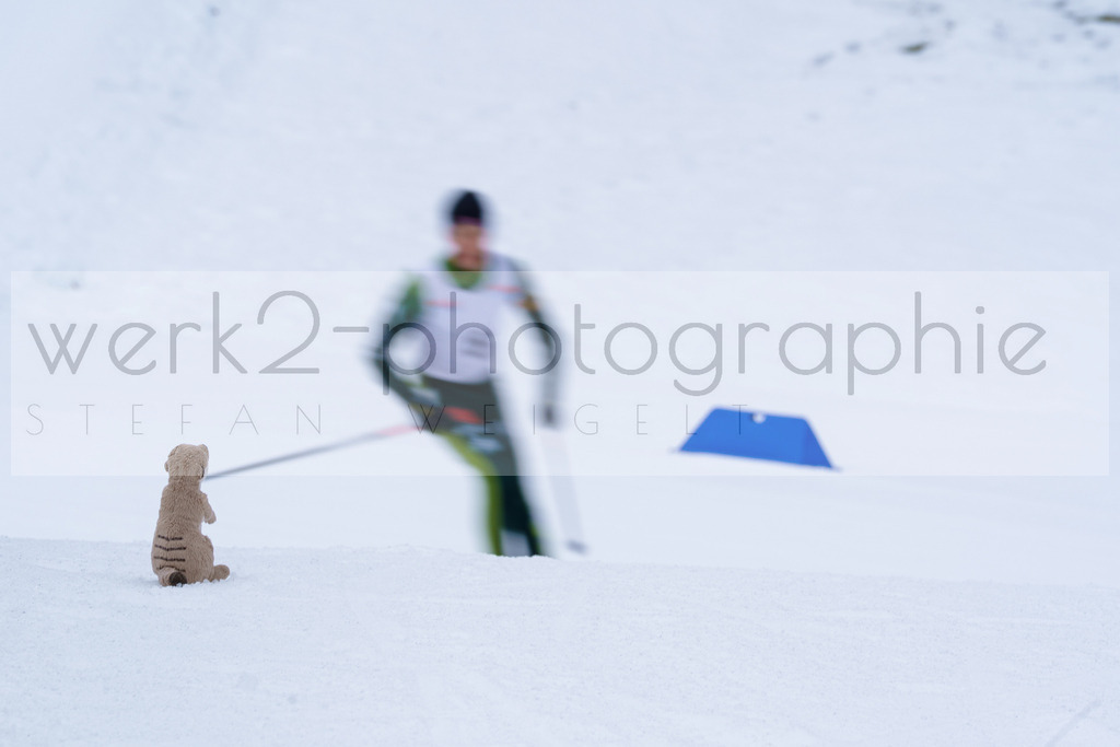DSC Ruhpolding | 3. DSV E.INFRA Schülercup Biathlon in der Chiemgau Arena Ruhpolding