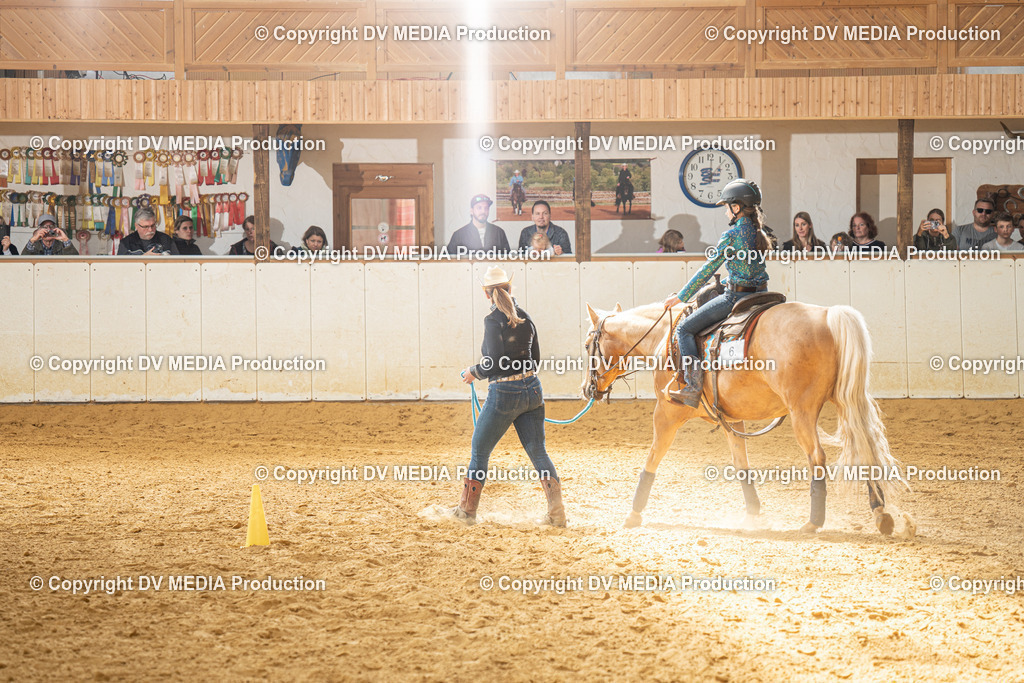 MIT01235 | dv-media-shop - Realisiert mit Pictrs.com