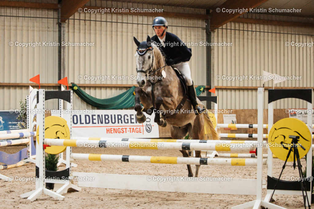 Springpferde A_-10 | Kristin Schumacher Photography