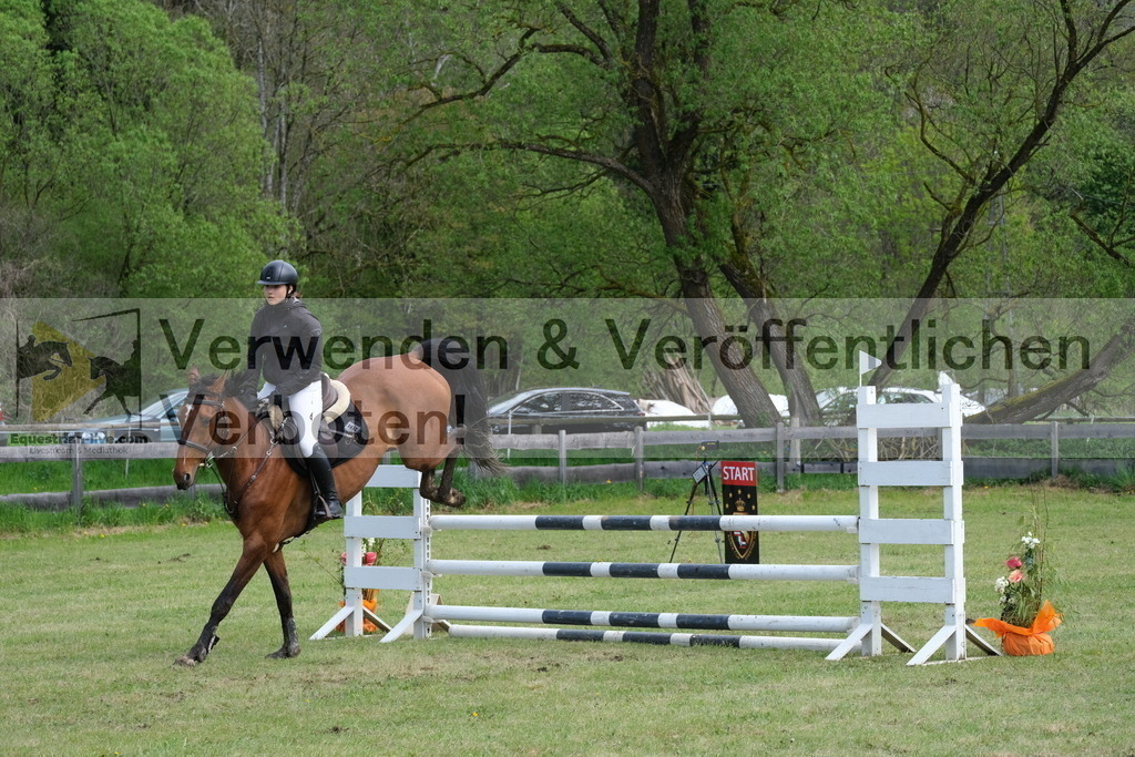 DSCF8281 | equestrian-live-com