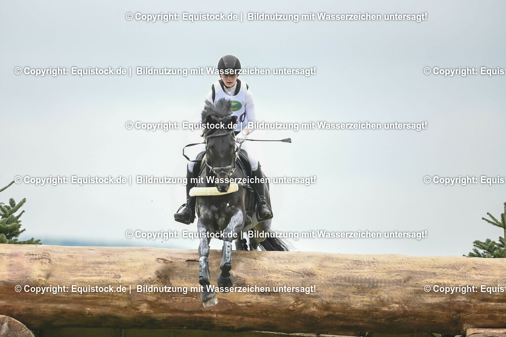 20230513_CCI2_Section2_Gelände_0253 | equistock