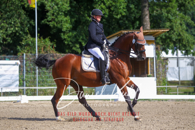 DKP41203 | Turniersportfotografie; Pferdefotografie; Dressurfotografie