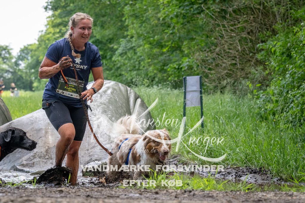 1137_ZZ93306-Bearbeitet | kk-dogfotos