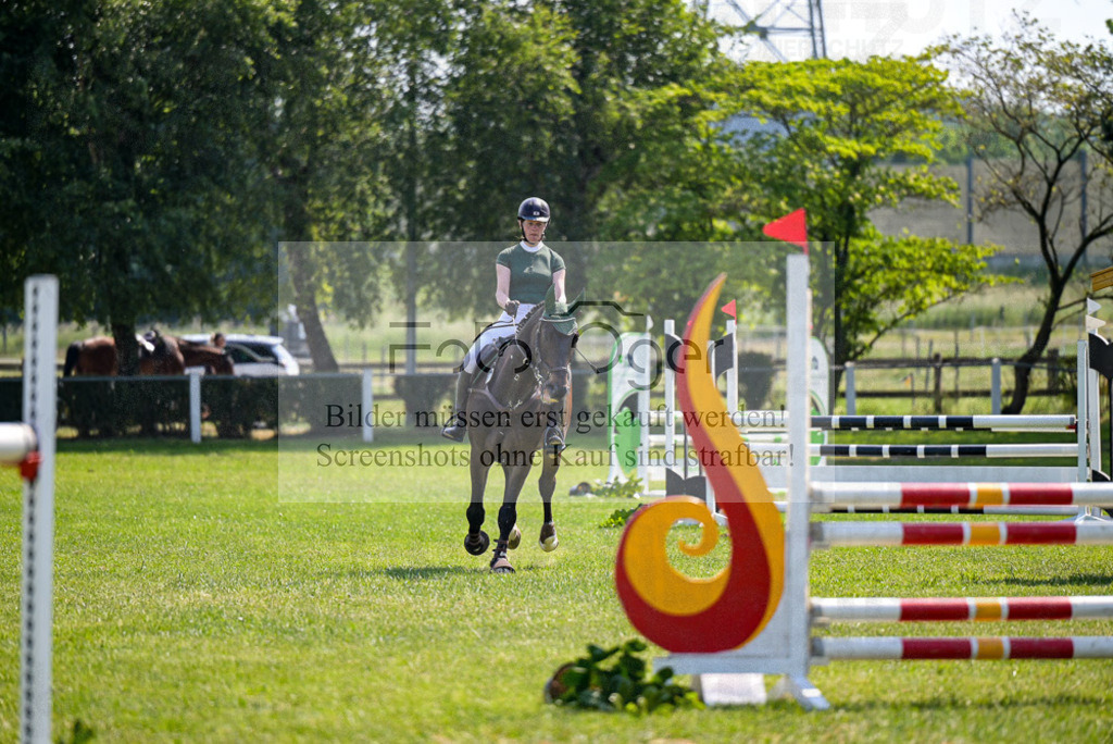 Reitturnier Voxtrup | Entdecke hochwertige Reitturnierfotos von Foto Oger. Professionell, emotional und authentisch – jetzt Lieblingsmomente im Shop bestellen. - Realisiert mit Pictrs.com
