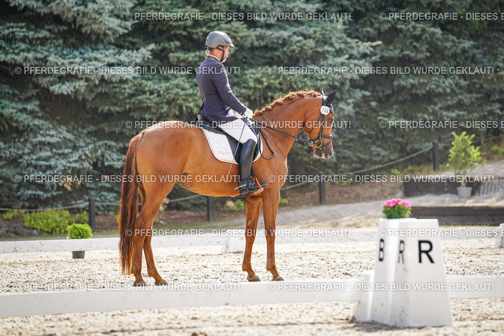 DSC06825 | Pferdegrafie