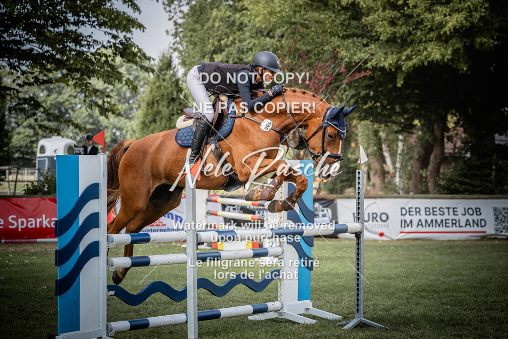 nelerasche_SprL__110Ede_02 | nelerasche