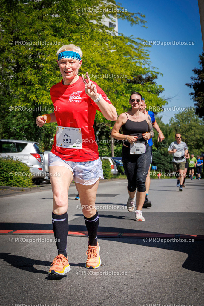 GVG-Frühlingslauf; Frechen, 11.05.2025 | Impressionen vom GVG-Frühlingslauf am 11.05.2025 in Frechen (Nordrhein-Westfalen). 