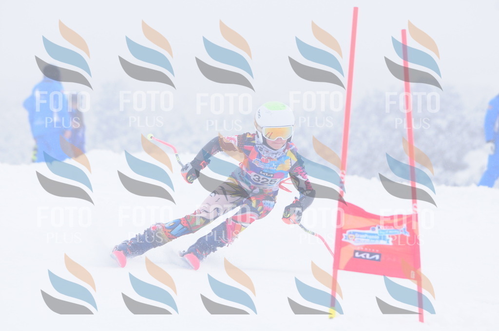 C3469 | holidayphoto