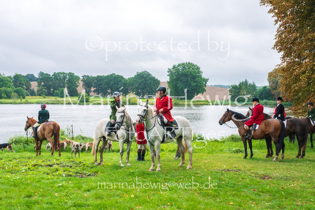 Jagd Kletkamp 26-9590_MarinaHewig | Fotografie, FotoArt, PferdesportArt, Pferdesportfotografie, Landschaftsfotografie, Reisefotografie, Reise, Pferde - Realisiert mit Pictrs.com