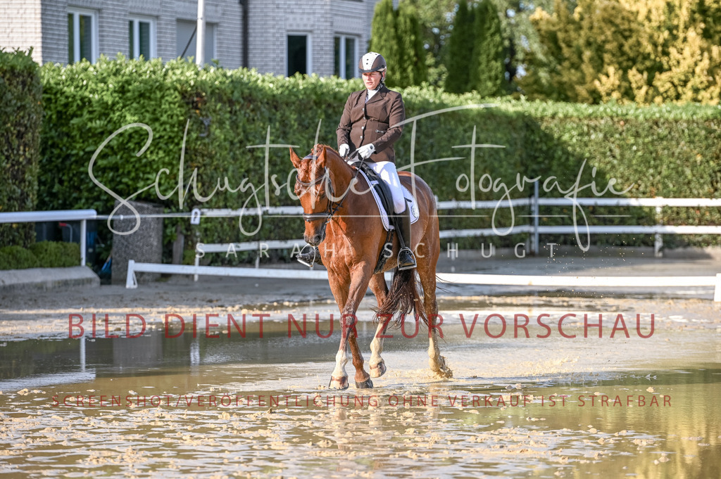 Schugtsche-Aluta25-54.Dressurprf.L1Trense-233 | Schugtsche Fotografie - Realisiert mit Pictrs.com