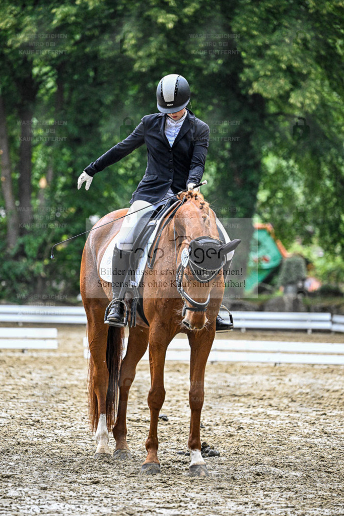 Bissendorfer Reitertage | Entdecke hochwertige Reitturnierfotos von Foto Oger. Professionell, emotional und authentisch – jetzt Lieblingsmomente im Shop bestellen. - Realisiert mit Pictrs.com