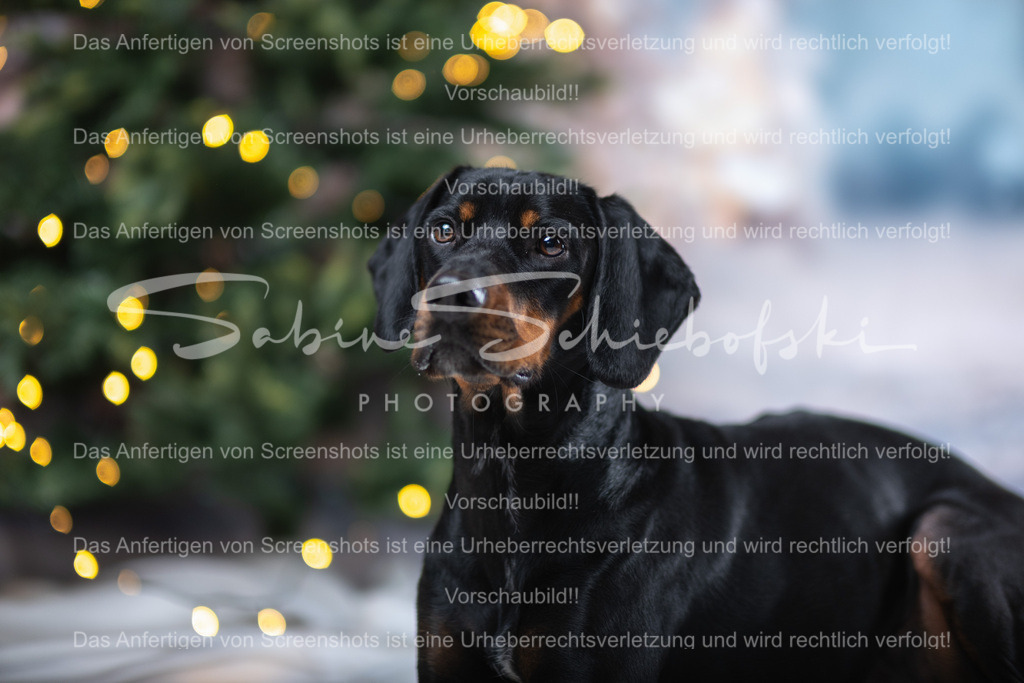 DSCF4378 | People- und Tierfotografie, Imageaufnahmen, Veranstaltungsfotografie und Wandbilder aus der Natur ★ Made in Germany ✔️ Druck + Downloads ✔️ Naturfotografie in Top Qualität ★ schneller Versand, weltweite Lieferung! - Realisiert mit Pictrs.com