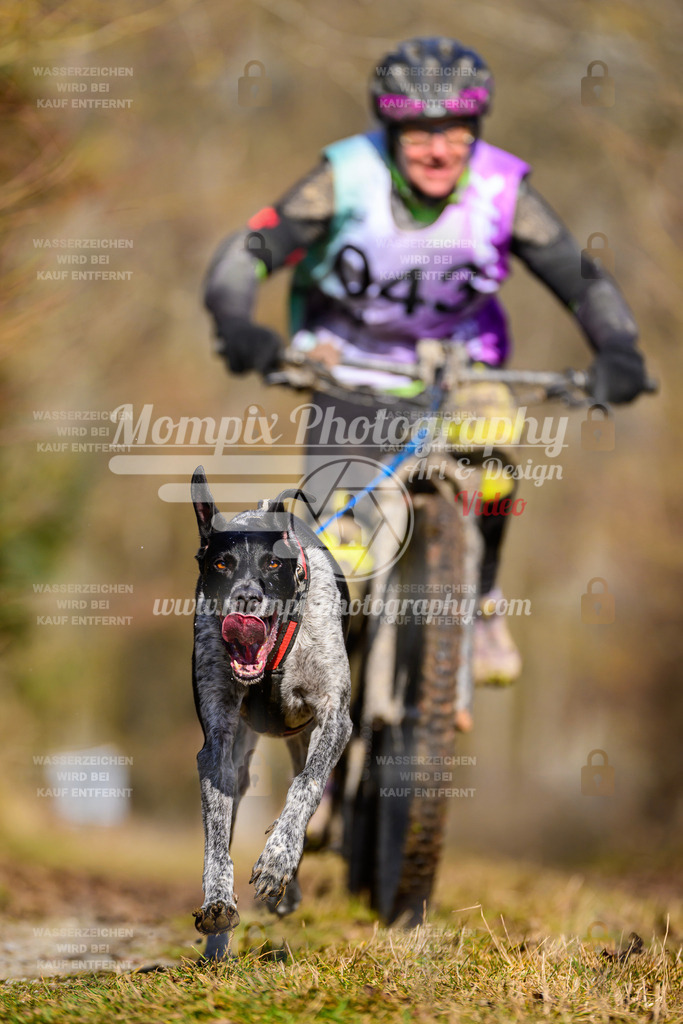 MompixPhotography_Schwabentrail2025_SO_Bike-65 | PayLife