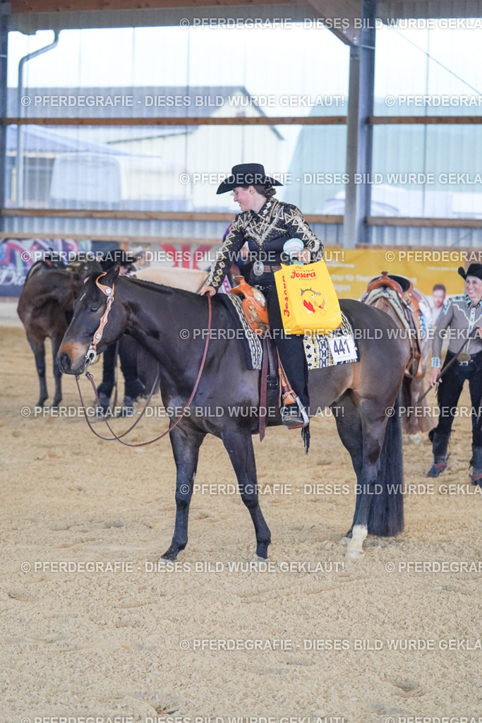 DSC09166 | Pferdegrafie