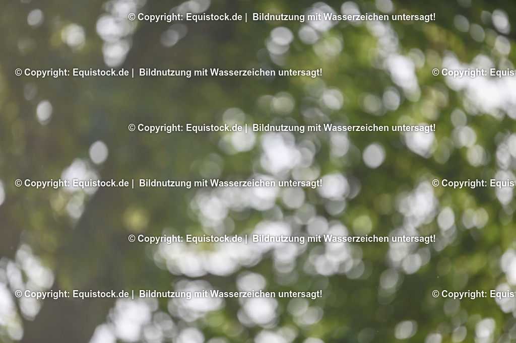 20230529_20_CSI4_Großer-Preis_0870 | equistock