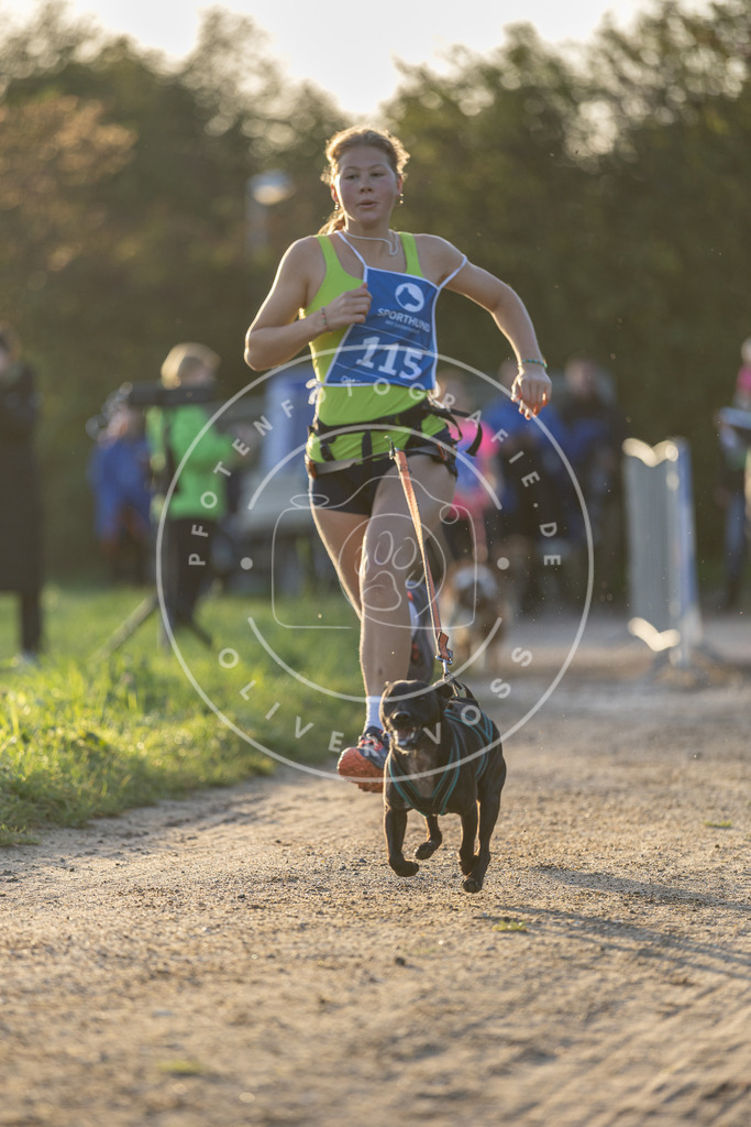 Pfotenfotografie.de_DV3A2457 | Hundefotografie, Tierfotograf, Pfotenfotografie, Fotoshooting Hund, Hunde Portrait, Hundesport, Hundeportraits, Heideshooting, Hunde, Sportfotograf, Hundefotograf, Turnierhundsport, THS, canicross - Realisiert mit Pictrs.com
