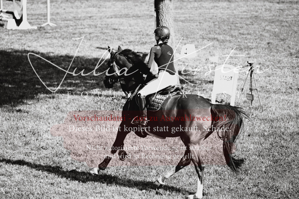 DSC_2338 | Pferde- und Turnierfotografie in Westsachsen. Pferdeportraits, Auftragszeichnungen und intuitive Kunst.