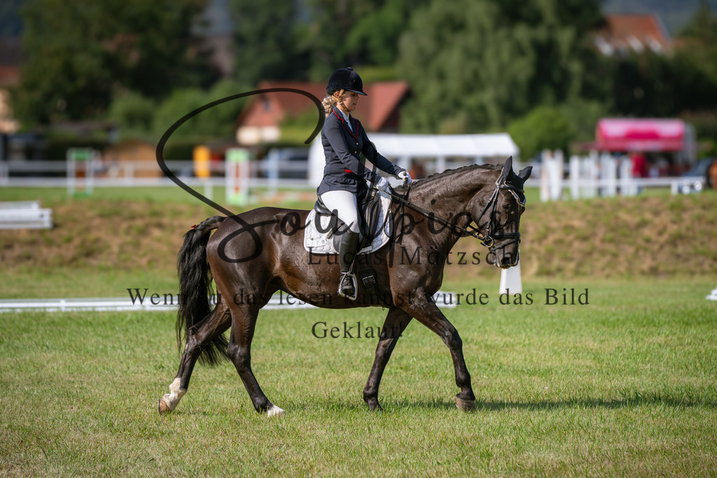 A7V09516 | Pferdefotograf