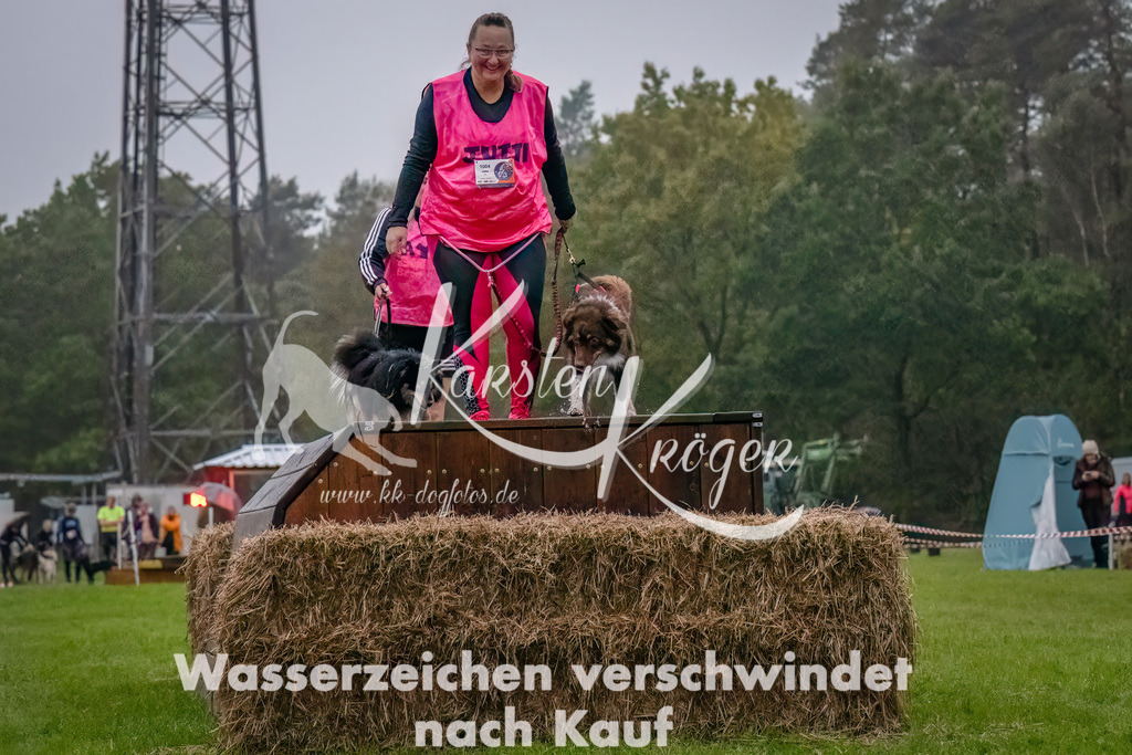 0807-_ZZ90261-Bearbeitet-Bearbeitet-2-Bearbeitet | kk-dogfotos