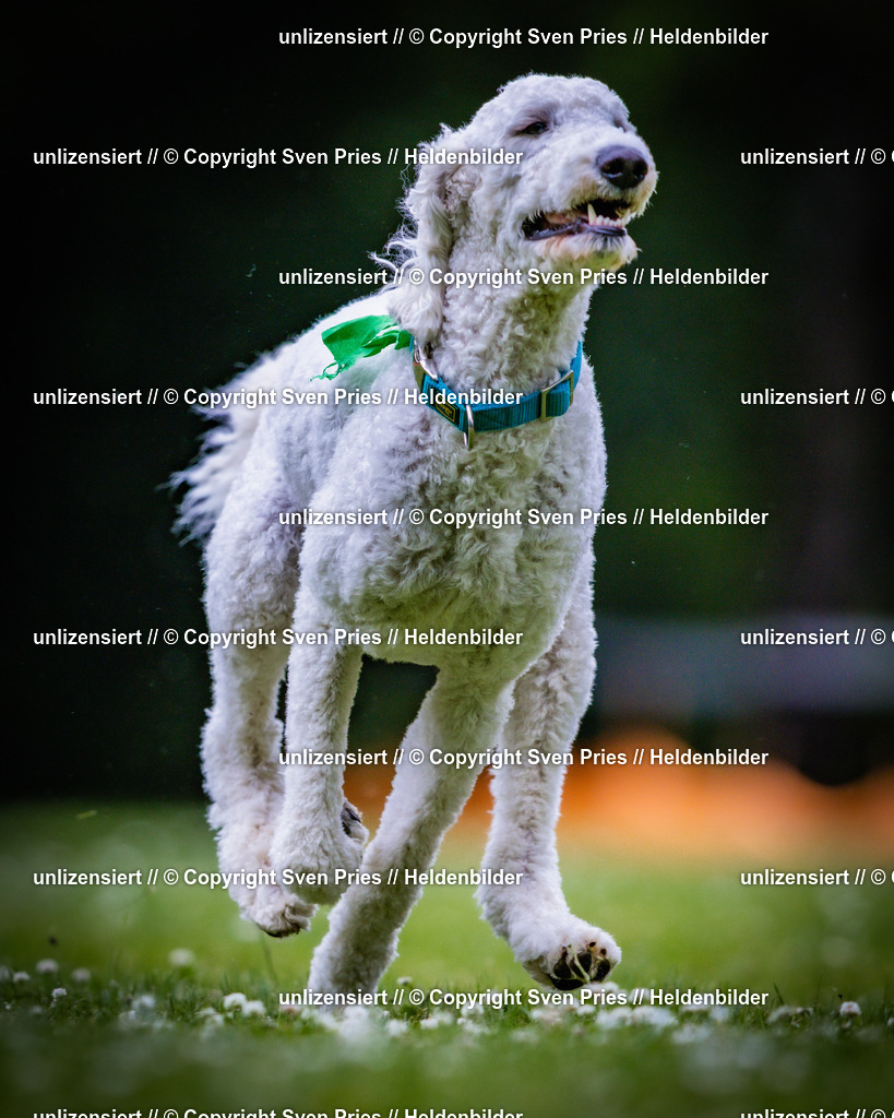 Sven Pries | 2025-05-29 - Pudelrennen KA-Durlach - Realisiert mit Pictrs.com