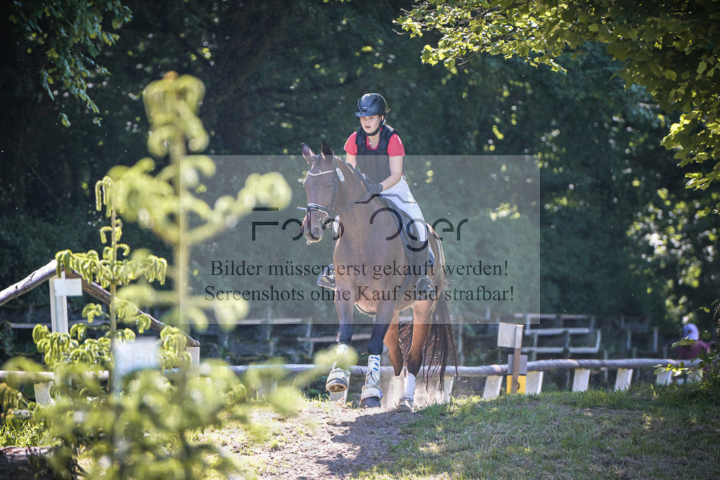 DOS_5508 | Entdecke hochwertige Reitturnierfotos von Foto Oger. Professionell, emotional und authentisch – jetzt Lieblingsmomente im Shop bestellen.Deutschlandweite Turnierfotografie. - Realisiert mit Pictrs.com