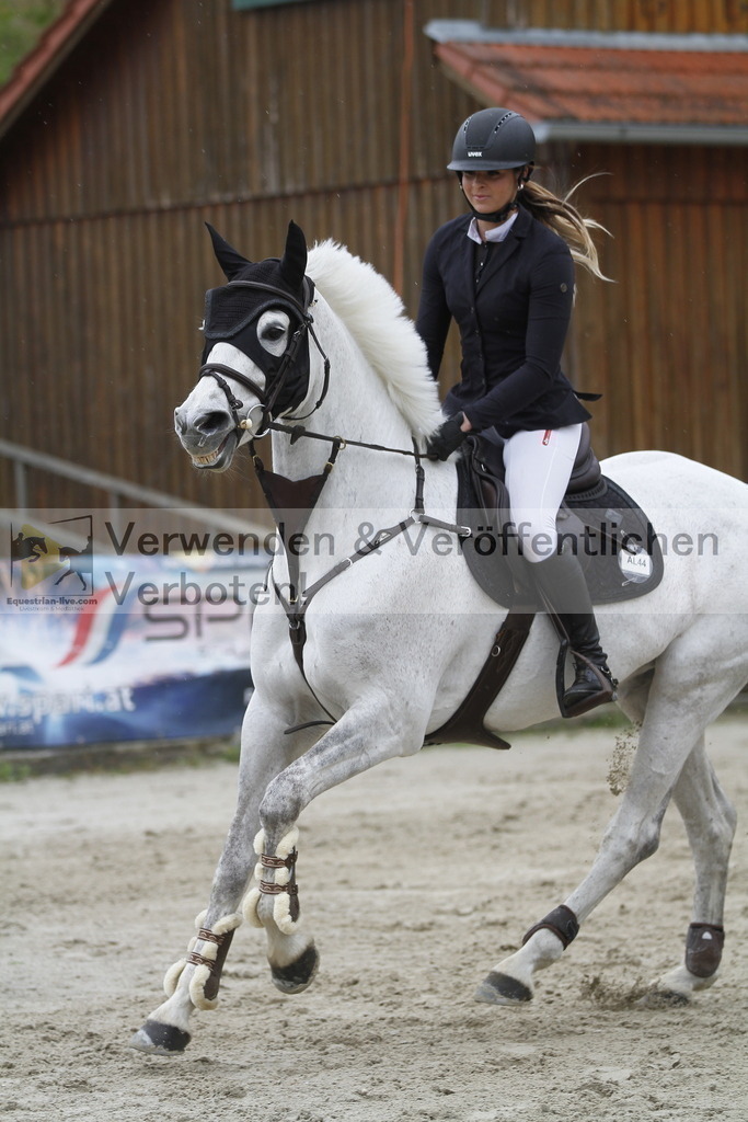 _MG_3106 | equestrian-live-com