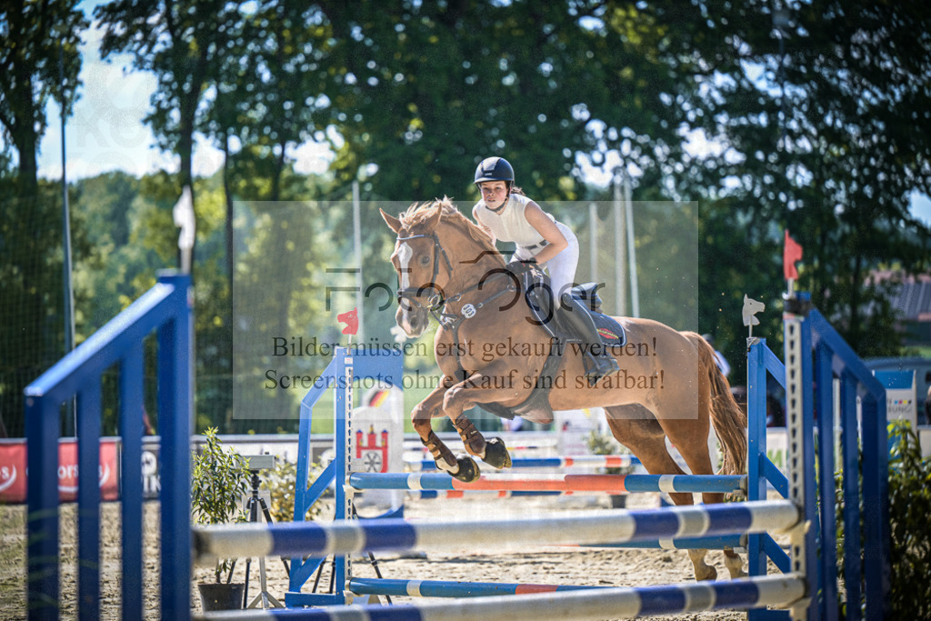 DOS_2592 | Entdecke hochwertige Reitturnierfotos von Foto Oger. Professionell, emotional und authentisch – jetzt Lieblingsmomente im Shop bestellen.Deutschlandweite Turnierfotografie. - Realisiert mit Pictrs.com