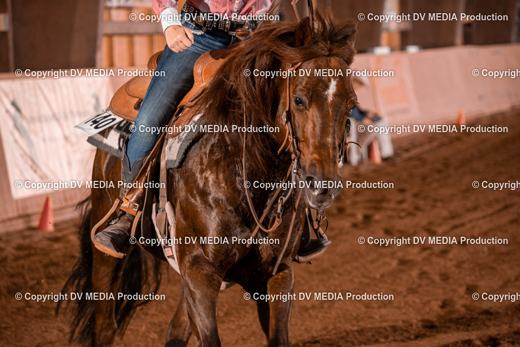 NE201419 | dv-media-shop - Realisiert mit Pictrs.com