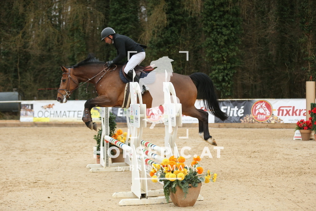 DL2Q5073 | Willkommen bei Brunnmayr - Design & Fotografie – Ihrem Spezialisten für Reitturniere und Pferdeveranstaltungen in Oberösterreich, Salzburg und Bayern! Seit über 17 Jahren sind wir leidenschaftlich dabei.