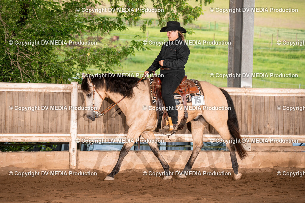 Erbach Tag 1-1042 | dv-media-shop - Realisiert mit Pictrs.com