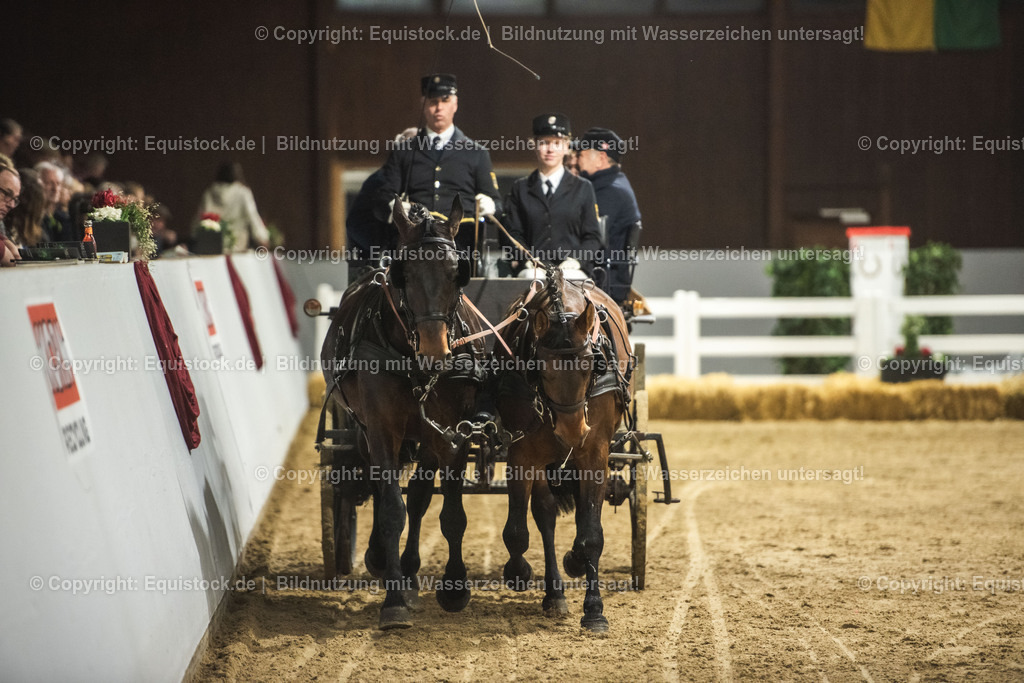 20240302_Hengstvorstellung_Marbach_TOMsPiC_0764 | equistock