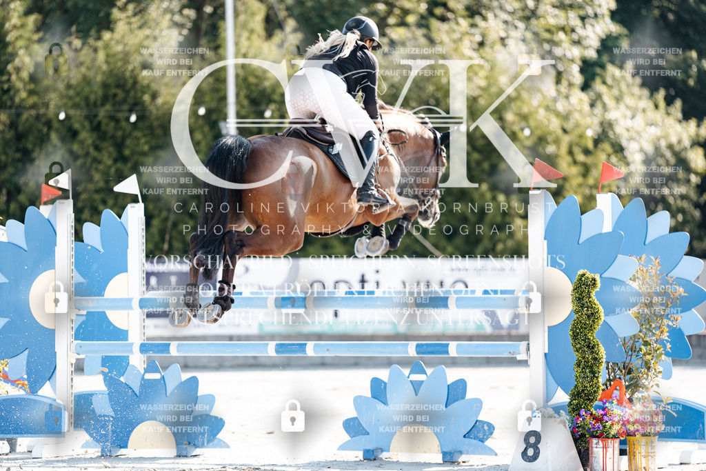 CK901624 | Turnierfotografie Pferdefotografie Trier Rheinland-Pfalz Pferdesport Reitsport Tierfotografie Sportfotografie Pferdevideo Pferdevideografie Equestrianvideography equestrianphotography  - Realisiert mit Pictrs.com
