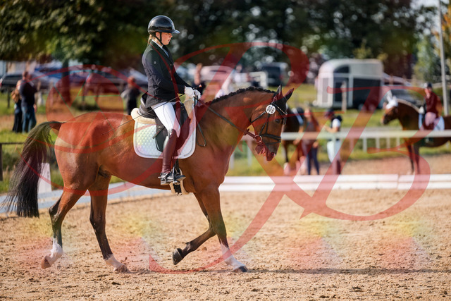 2026_10_03_Siefer-Hof_131509_Z63_76489904 | Professionelle Reitsport-, Turnier- und Eventfotografie von Robert Broda. Galerien mit ausgewählten und bearbeiteten Bildern direkt online ansehen und bestellen.