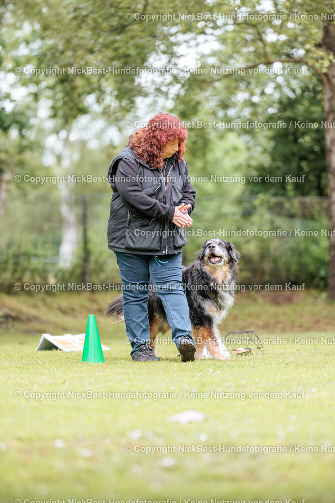 RO-Blumenthal-2026-Nickbest-Hundefotografie-1853 | Dein Hund! Dein Moment! Deine Erinnerungen! Hundefotografie in Bremen Blumenthal. Ich fange die besonderen Momente deines Vierbeiners ein – ob Indoor mit Blitzanlage oder in der freien Natur. Sicher dir dein Moment und dein Termin für eure Erinnerungen.