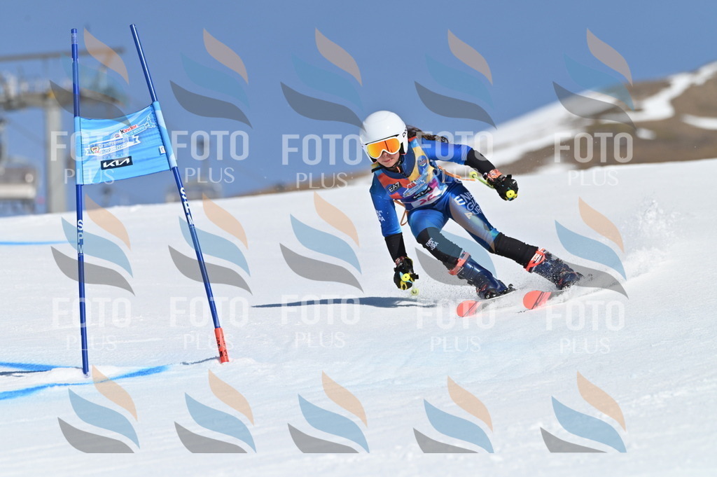 BGV_8071 | holidayphoto