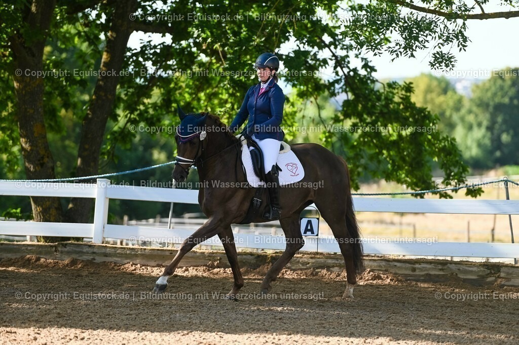 20230715_06_Dressurpferdeprfg. Kl.A_0158 | equistock