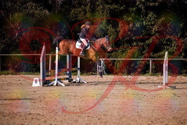 2026_10_03_Siefer-Hof_161057_Z81_90873153 | Professionelle Reitsport-, Turnier- und Eventfotografie von Robert Broda. Galerien mit ausgewählten und bearbeiteten Bildern direkt online ansehen und bestellen.
