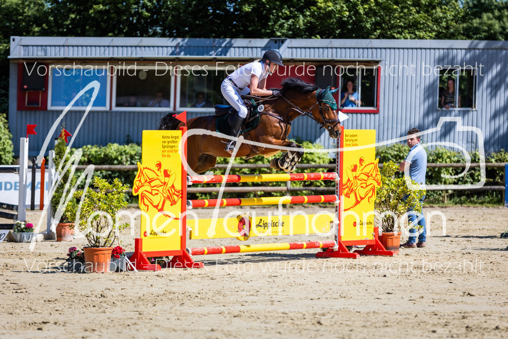 Donop24-M-Spr-075 | MomenTaufnahmen Pferdesportfotos