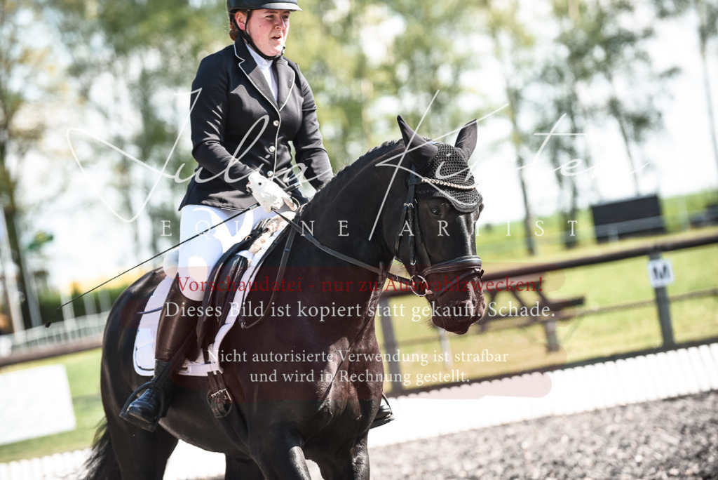 DSC_8810 | Pferde- und Turnierfotografie in Westsachsen. Pferdeportraits, Auftragszeichnungen und intuitive Kunst.