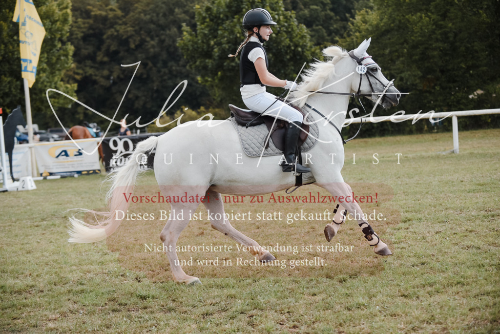 DSC_5543 | Pferde- und Turnierfotografie in Westsachsen. Pferdeportraits, Auftragszeichnungen und intuitive Kunst.