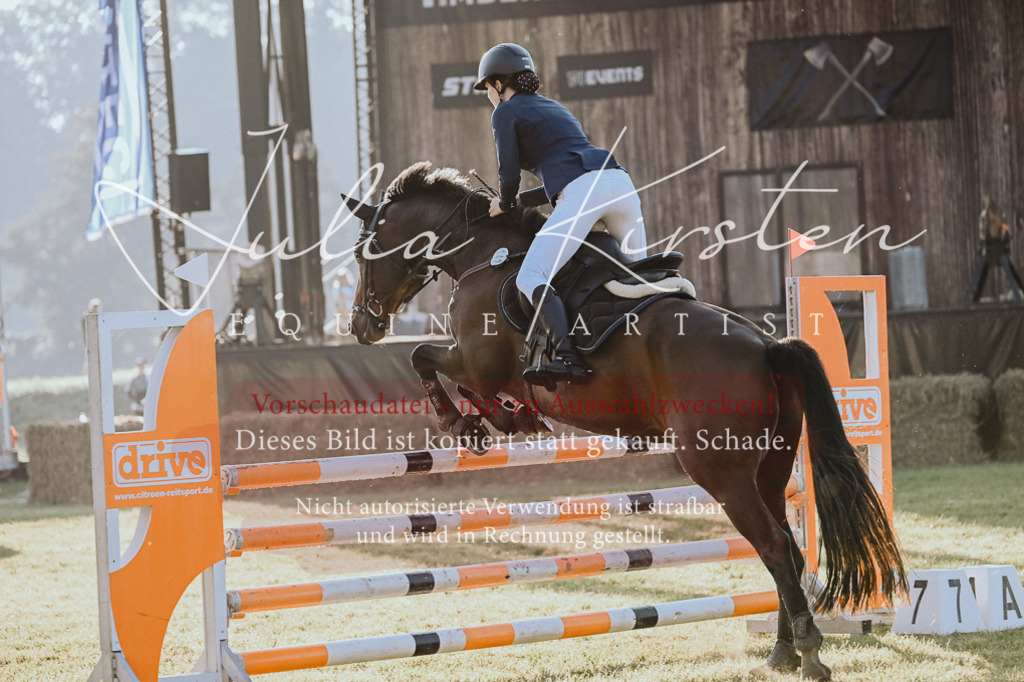 DSC_3979 | Pferde- und Turnierfotografie in Westsachsen. Pferdeportraits, Auftragszeichnungen und intuitive Kunst.