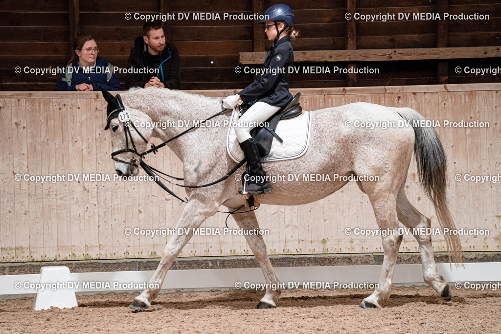 Dressur Tag 2-445 | dv-media-shop - Realisiert mit Pictrs.com