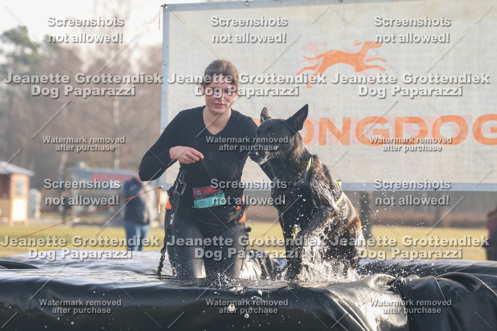 Dog Paparazzi - SD North 0326 900930-111 | Dog Paparazzi Jeanette Grottendiek Fotografie & Videografie - Realisiert mit Pictrs.com