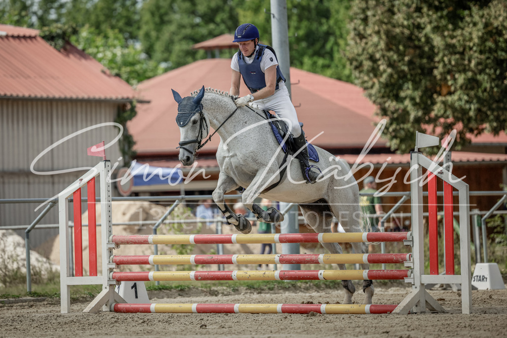 20250906-_3LI6142 | Tierfotografie Pferde, Hunde, Katzen, Haustiere.
Turnierfotografie Reitturniere, Reiten, Springreiten, Dressur in Hanau, dem Main-Kinzig-Kreis und dem Rhein-Main- Gebiet um Frankfurt