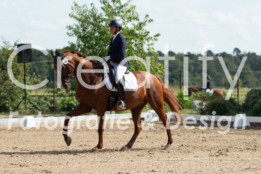 IMG_2929 | Creatify Fotografie