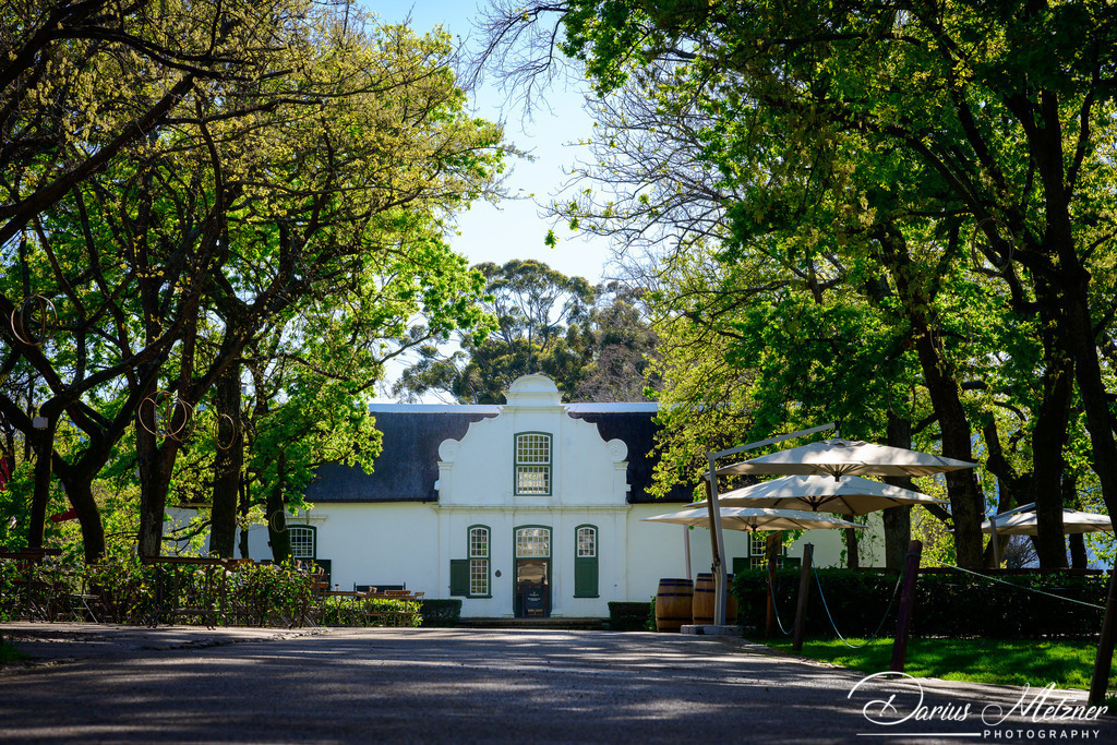 _DSC5699 | Fotografien, Fotos und Bilder aus Mainz, Frankfurt, Wiesbaden und anderen Orten auf der Welt - Fotografiert von Darius Metzner