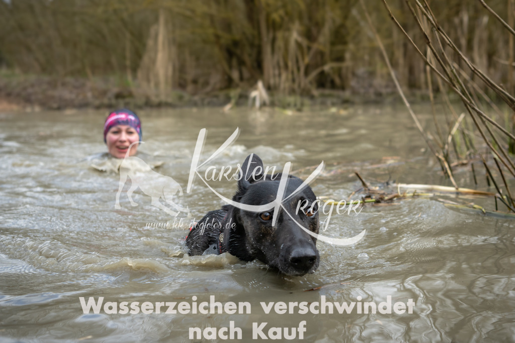 1558_ZZ95153 | kk-dogfotos