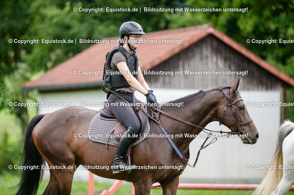 20250725_Vielseitigkeitslehrgang-Marbach_0495 | Foto: Thomas Hartig